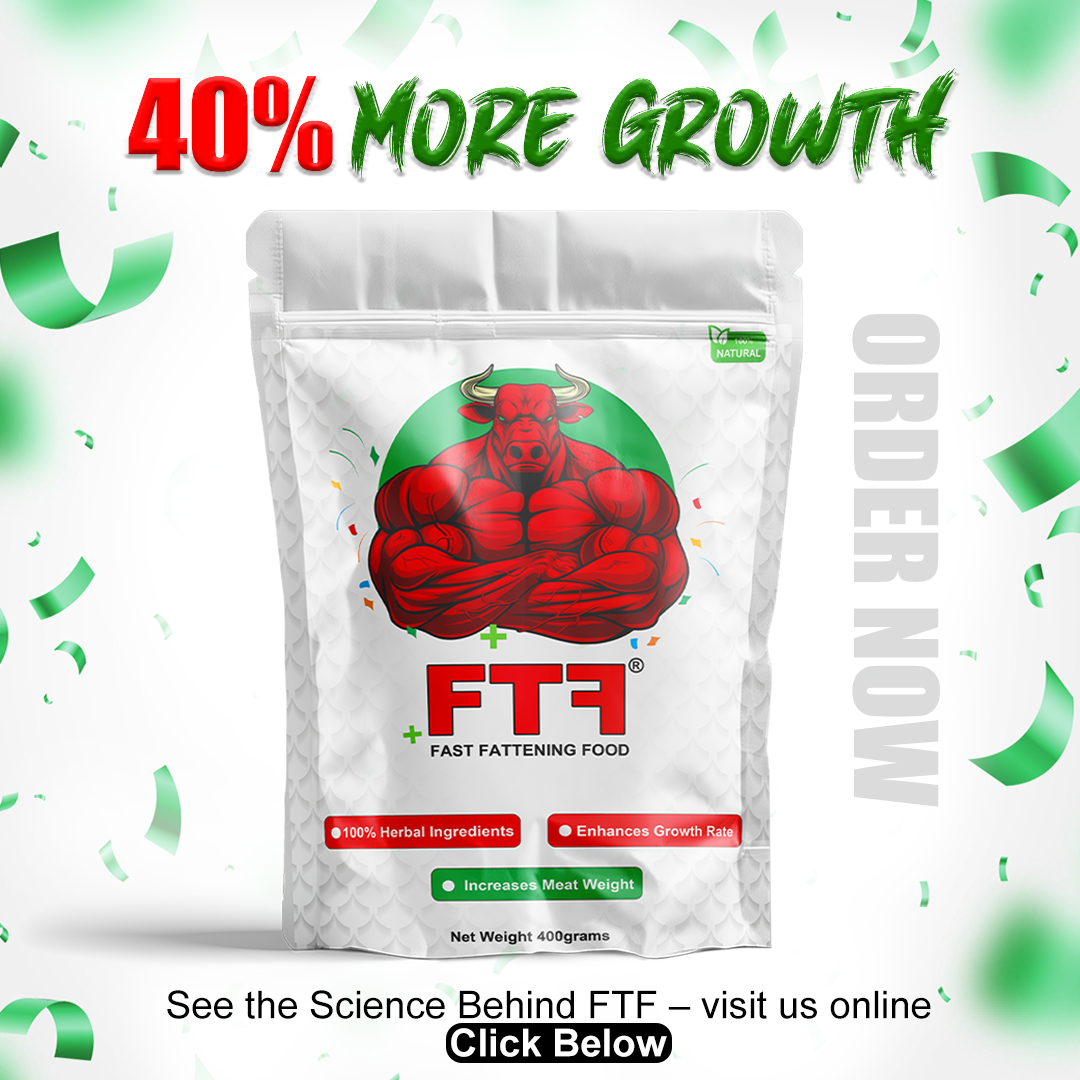 FTF - Fast Fattening Food