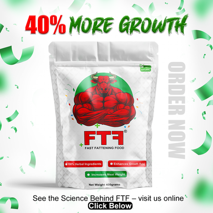 FTF - Fast Fattening Food